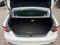 Toyota Camry Hybrid Business Edition*KAMERA*LED*LEDER* Weiß - thumbnail 8