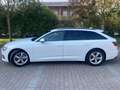 Audi A6 Avant 40 2.0 TDI S tronic Business Design Bianco - thumbnail 2