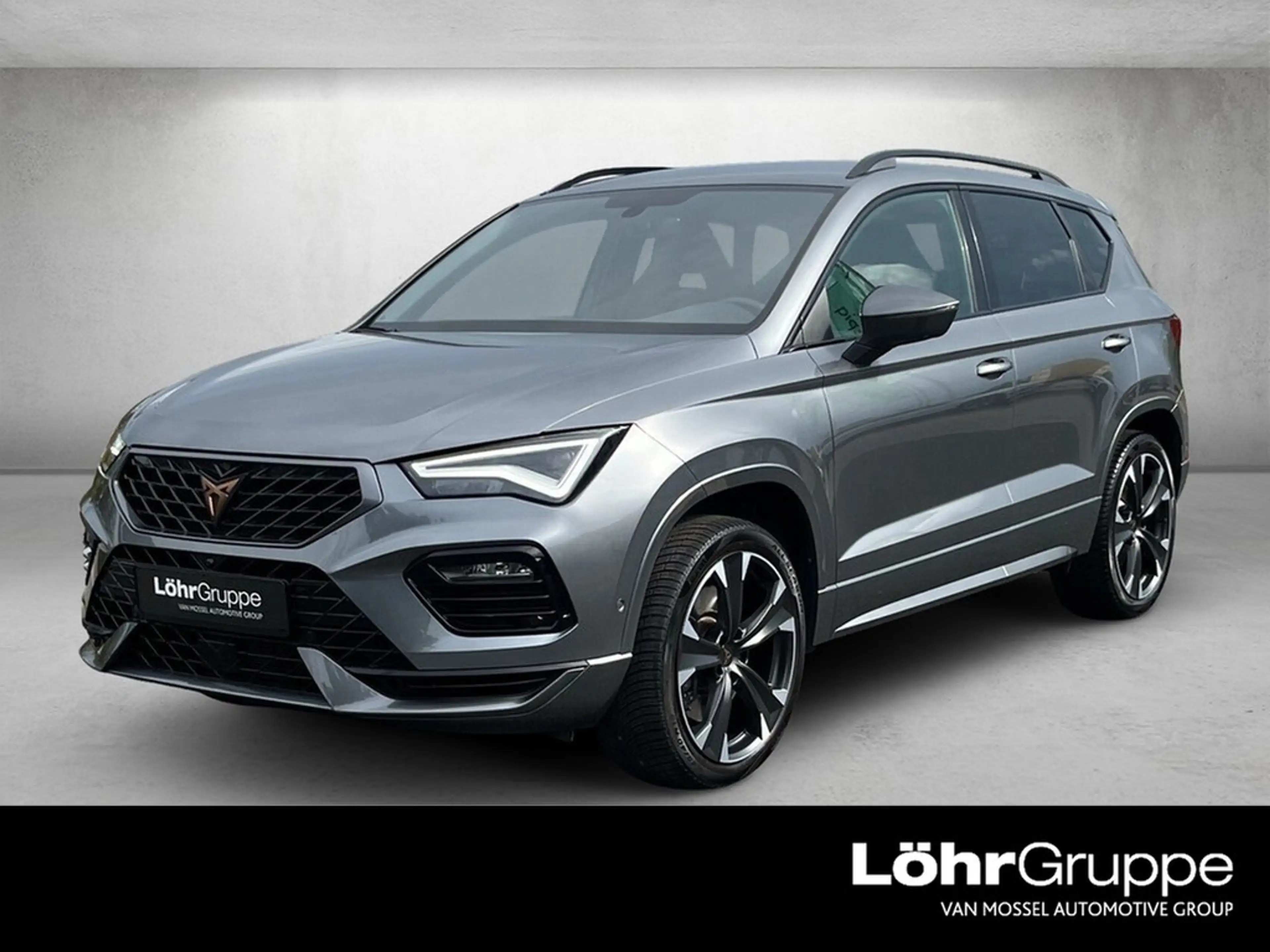 CUPRA Ateca 2.0 TSI 4Drive DSG *AHK*