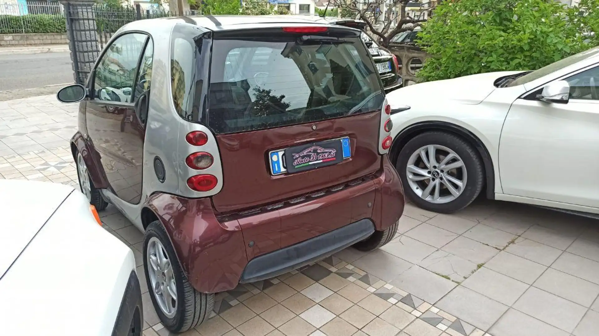 smart Sonstige smart & pulse Rot - 2