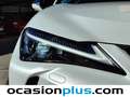 Lexus UX 250h Business City 2WD Blanc - thumbnail 15