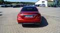 Mercedes-Benz E 400 d 4M AMG Line 2x Night+Wide+Comand+360°+ Rojo - thumbnail 6