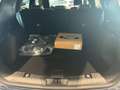 Ford Kuga 2.5 phev ST-Line X 2wd 225cv cvt Blu/Azzurro - thumbnail 6