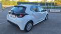Toyota Yaris Yaris IV 2020 1.0 Active Bianco - thumbnail 14