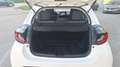 Toyota Yaris Yaris IV 2020 1.0 Active Bianco - thumbnail 15