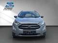Ford EcoSport Titanium 1.0 EcoBoost EU6d *8-fach Bereift Argento - thumbnail 8