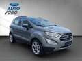 Ford EcoSport Titanium 1.0 EcoBoost EU6d *8-fach Bereift Argento - thumbnail 7