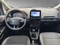 Ford EcoSport Titanium 1.0 EcoBoost EU6d *8-fach Bereift Argento - thumbnail 13
