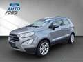 Ford EcoSport Titanium 1.0 EcoBoost EU6d *8-fach Bereift Argento - thumbnail 1