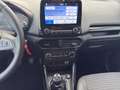 Ford EcoSport Titanium 1.0 EcoBoost EU6d *8-fach Bereift Argento - thumbnail 14