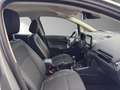 Ford EcoSport Titanium 1.0 EcoBoost EU6d *8-fach Bereift Plateado - thumbnail 16
