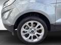 Ford EcoSport Titanium 1.0 EcoBoost EU6d *8-fach Bereift Plateado - thumbnail 20