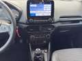 Ford EcoSport Titanium 1.0 EcoBoost EU6d *8-fach Bereift Argento - thumbnail 15