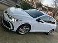Volkswagen Golf GTE 1.4 dsg Plug In Hybrid PERFETTA Blanco - thumbnail 11