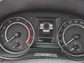 Skoda Fabia Monte Carlo Rouge - thumbnail 14
