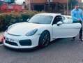 Porsche Cayman Cayman GT4*Appr*Clubsport*Manthey*Sport Chrono* Weiß - thumbnail 5