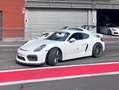 Porsche Cayman Cayman GT4*Appr*Clubsport*Manthey*Sport Chrono* Weiß - thumbnail 6