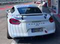 Porsche Cayman Cayman GT4*Appr*Clubsport*Manthey*Sport Chrono* Weiß - thumbnail 2