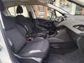 Peugeot 208 BlueHDi 75 5 porte Active Blanco - thumbnail 15