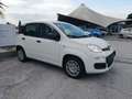 Fiat Panda PANDINA III 1.0 70 CV FIREFLY  HYBRID S.S. Blanco - thumbnail 7