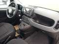 Fiat Panda PANDINA III 1.0 70 CV FIREFLY  HYBRID S.S. Blanco - thumbnail 10