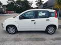 Fiat Panda PANDINA III 1.0 70 CV FIREFLY  HYBRID S.S. Blanco - thumbnail 2