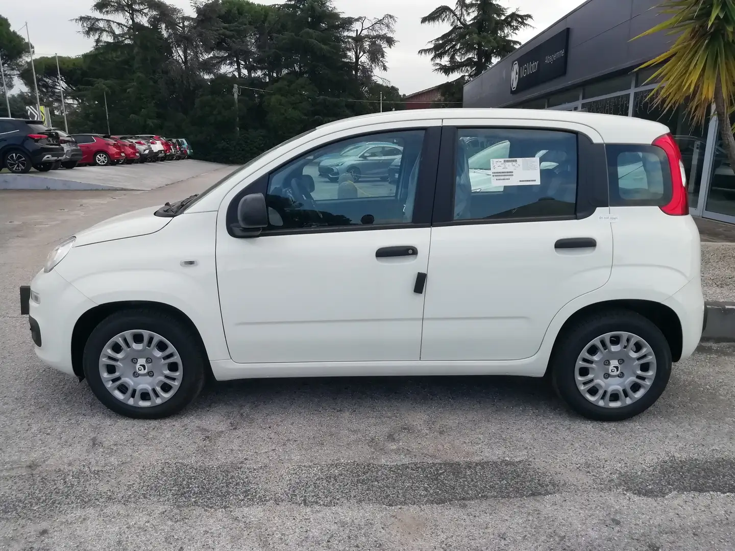 Fiat Panda PANDINA III 1.0 70 CV FIREFLY HYBRID S.S. Bianco - 2