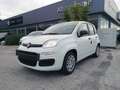 Fiat Panda PANDINA III 1.0 70 CV FIREFLY  HYBRID S.S. Blanco - thumbnail 1