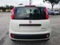 Fiat Panda PANDINA III 1.0 70 CV FIREFLY  HYBRID S.S. Blanco - thumbnail 4