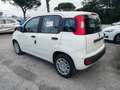 Fiat Panda PANDINA III 1.0 70 CV FIREFLY  HYBRID S.S. Blanco - thumbnail 3