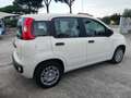 Fiat Panda PANDINA III 1.0 70 CV FIREFLY  HYBRID S.S. Blanco - thumbnail 5