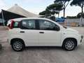 Fiat Panda PANDINA III 1.0 70 CV FIREFLY  HYBRID S.S. Blanco - thumbnail 6