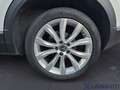 Volkswagen T-Roc T-ROC 1.5 TSI ACT DSG ADVANCED BLUEMOTION TECHNOL Bianco - thumbnail 13