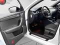 Skoda Octavia OCTAVIA 2.0 TSi RS *Klimaaut.*Leder*Bei-Xenon* Weiß - thumbnail 11