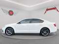 Skoda Octavia OCTAVIA 2.0 TSi RS *Klimaaut.*Leder*Bei-Xenon* Weiß - thumbnail 6