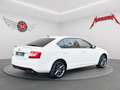 Skoda Octavia OCTAVIA 2.0 TSi RS *Klimaaut.*Leder*Bei-Xenon* Weiß - thumbnail 5