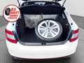 Skoda Octavia OCTAVIA 2.0 TSi RS *Klimaaut.*Leder*Bei-Xenon* Weiß - thumbnail 10