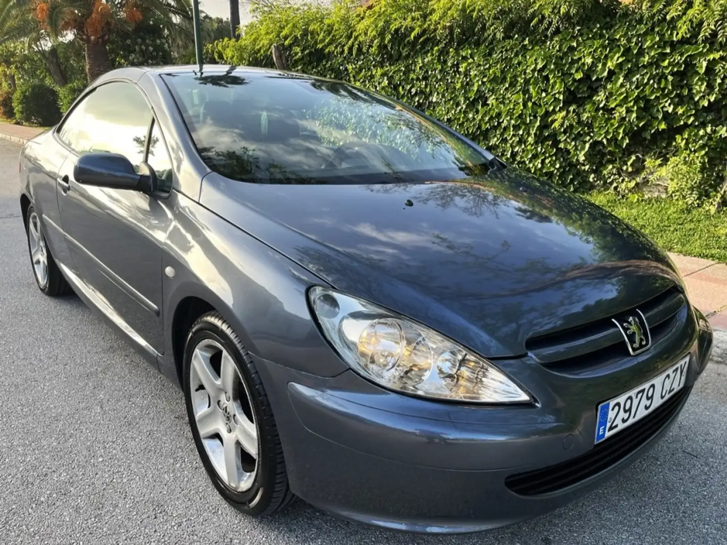 Peugeot 307 CC 2.0 Sport 180 Grey - 1