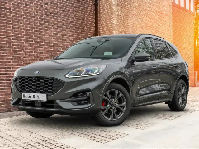 Ford Kuga view 2