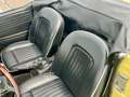 Triumph TR2 - thumbnail 30