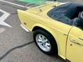 Triumph TR2 - thumbnail 12