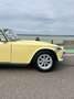 Triumph TR2 - thumbnail 8