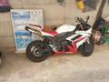 Yamaha YZF-R1 Alb - thumbnail 1