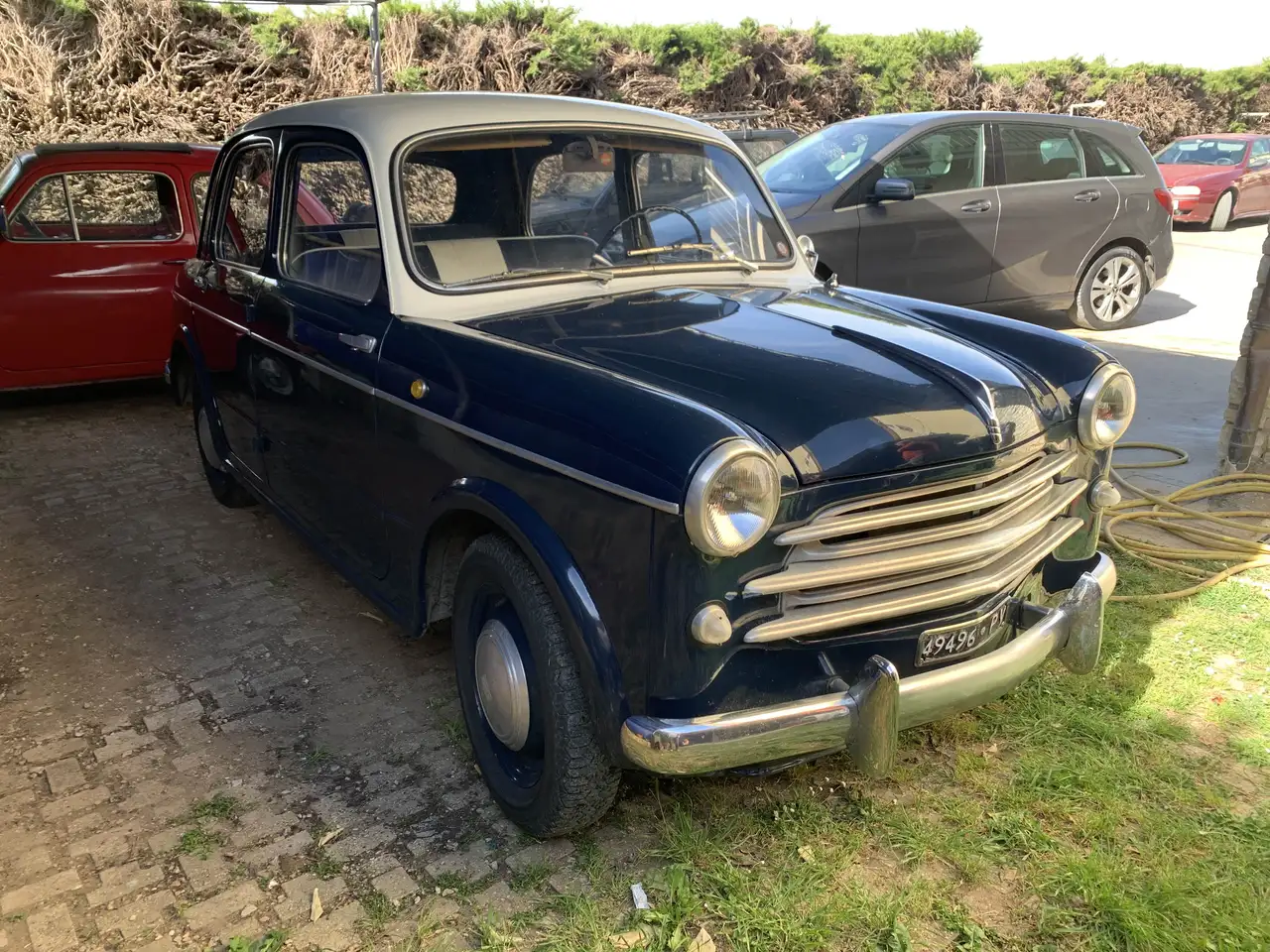 Fiat 1100 103 Bauletto cambio al volante, foto 5