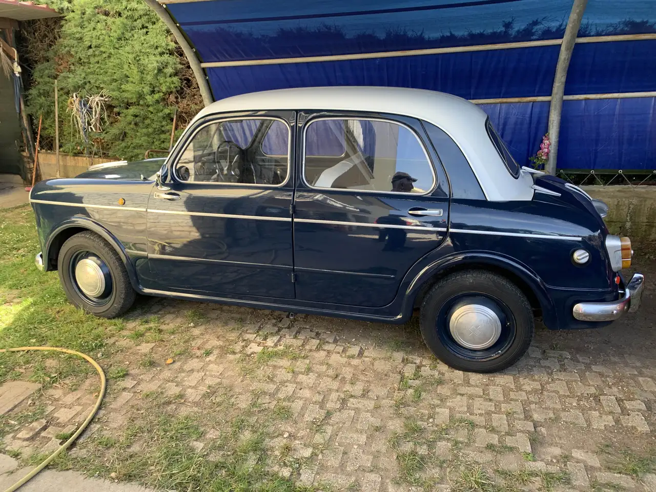 Fiat 1100 103 Bauletto cambio al volante, foto 9