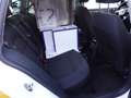 Skoda Superb Combi 4x4  2,0 TDI Weiß - thumbnail 11
