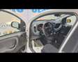 Fiat New Panda Cross 1.0 FireFly Hybrid Weiß - thumbnail 5