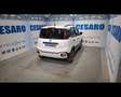 Fiat New Panda Cross 1.0 FireFly Hybrid Bianco - thumbnail 3