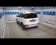 Fiat New Panda Cross 1.0 FireFly Hybrid Bianco - thumbnail 4