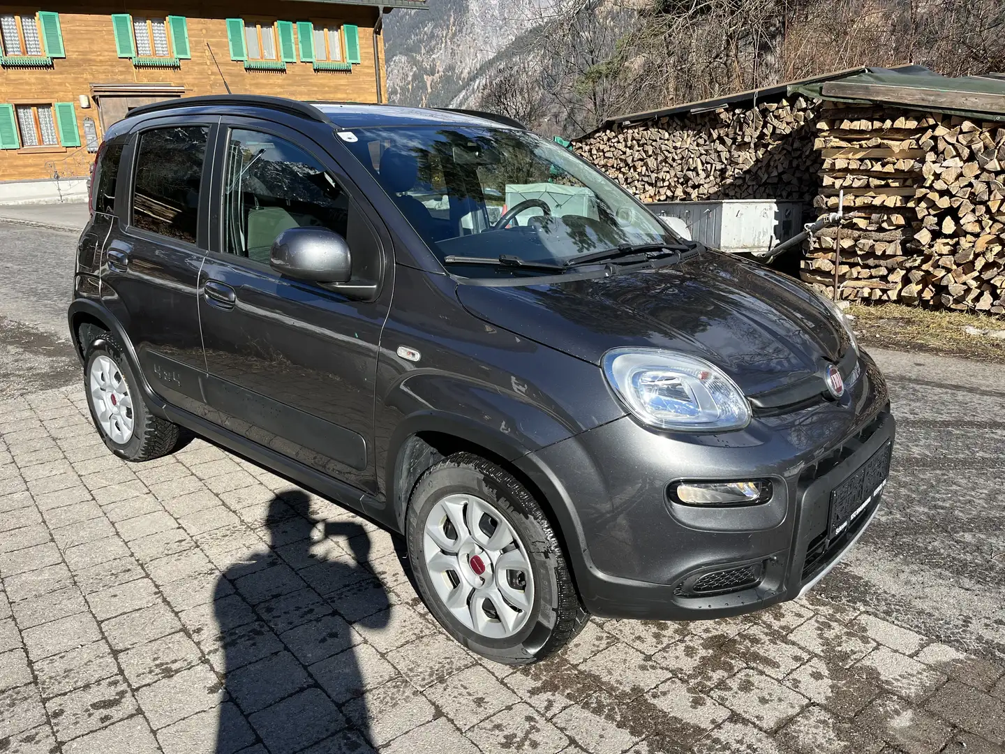Fiat Panda Panda 4x4 1,3 Multijet II 95 Grau - 2